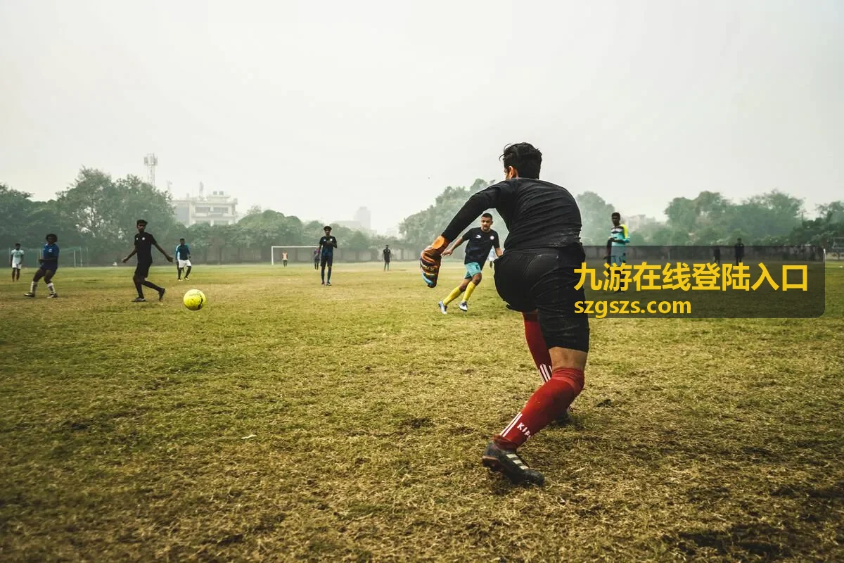九游在线登陆入口登录步骤操作示意