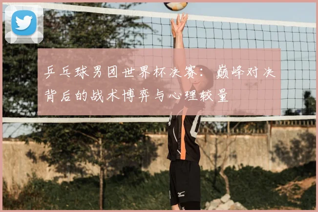 乒乓球男团世界杯决赛：巅峰对决背后的战术博弈与心理较量
