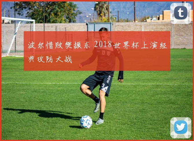 波尔惜败樊振东 2018世界杯上演经典攻防大战