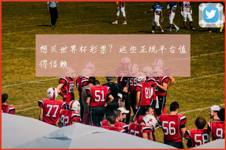 想买世界杯彩票?这些正规平台值得信赖