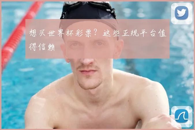 想买世界杯彩票?这些正规平台值得信赖