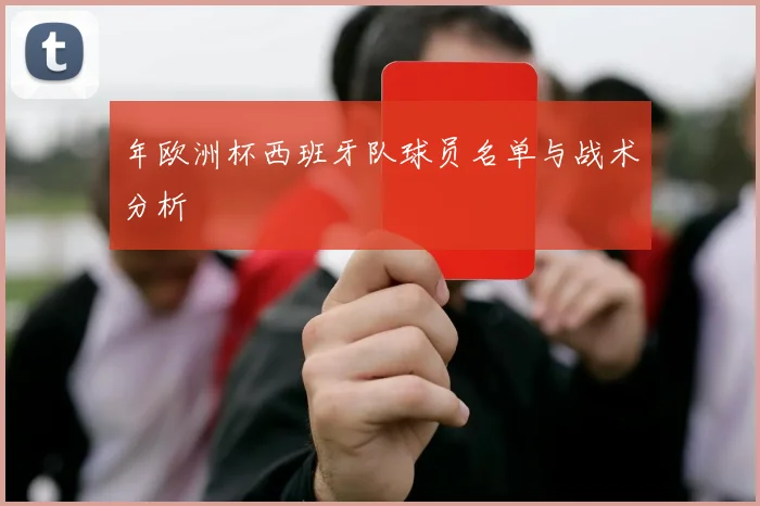 年欧洲杯西班牙队球员名单与战术分析