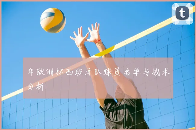 年欧洲杯西班牙队球员名单与战术分析