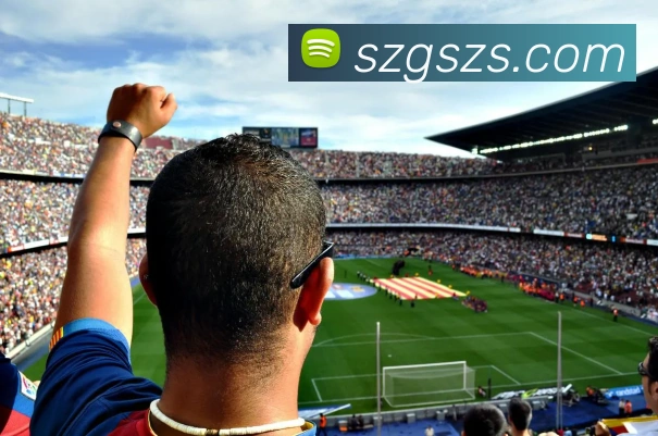 欧宝官方服务体系